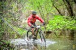 IMG-20180410-WA0007.jpg