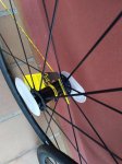 IMG_20180326_081647_627.jpg