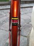 genesis SS (3) - copia.jpg