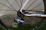DSC_0010.NEF.jpg