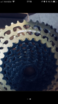 D03D8CCB-3419-4E00-8CDD-3C5113875090.png