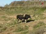 DSC00294.JPG