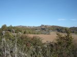 DSC00297.JPG