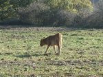 DSC00298.JPG