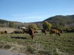 DSC00299.JPG