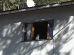 DSC00319.JPG