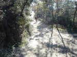DSC00325.JPG