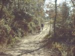 DSC00331.JPG