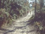 DSC00336.JPG