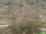 DSC00058.jpg