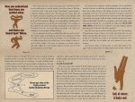 flyer95-szazbo-04[1].jpg
