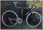 cat98-lugi[1].jpg