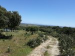IMG-20180504-WA0078.jpg