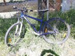 bici2.jpg