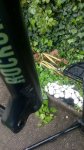 IMG-20180521-WA0015.jpg
