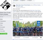 orbea.jpeg