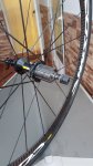IMG-20180525-WA0060.jpg