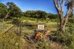 _DSC0084-01.jpeg