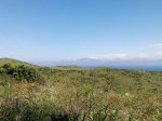 P80518-171119.jpg