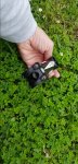 20180529_142816.jpg