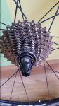 20180529_093946.jpg