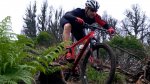 mtb.jpg