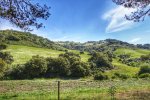 _DSC0315-02.jpeg