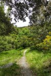 _DSC0407-01.jpeg