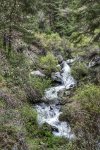 _DSC0425-01.jpeg