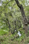 _DSC0424-01.jpeg