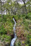 _DSC0423-01.jpeg
