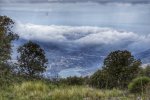 _DSC0419-01.jpeg