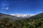 _DSC0432-01.jpeg