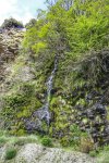 _DSC0459-01.jpeg