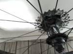 IMG_20180529_165041.jpg