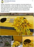 limpieza_sendas.JPG
