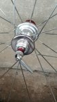 thumbnail_20180605_105931_resized.jpg