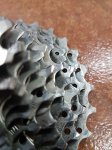 20180606_125202.jpg