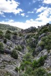 _DSC0485-01.jpeg