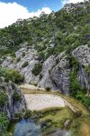 _DSC0486-01.jpeg