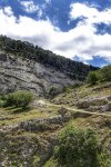 _DSC0496-01.jpeg
