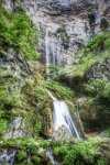 _DSC0604-01.jpeg