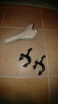 IMG-20180531-WA0028.jpeg