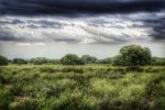 _DSC0629-01.jpeg