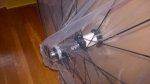 WP_20180608_11_01_34_Pro.jpg