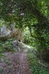 _DSC0642-01.jpeg