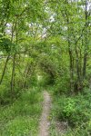 _DSC0639-01.jpeg