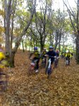 11-11-07_1014.jpg