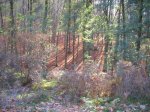 DSCN1840.JPG