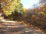 DSCN1847.JPG